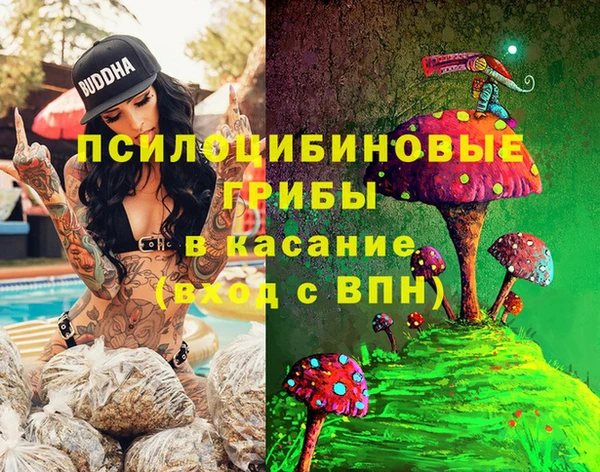 мдма Белокуриха