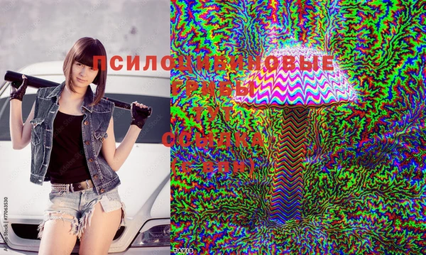 мдма Белокуриха